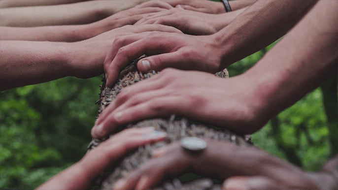 Charities and Community
