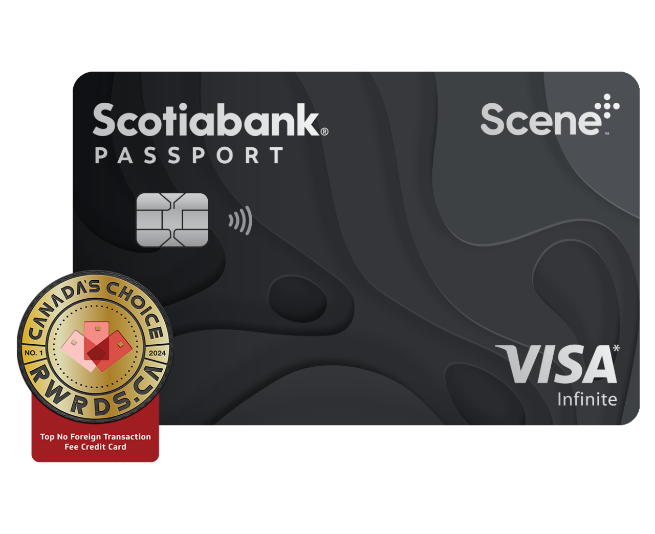 Passport Visa Infinite Card